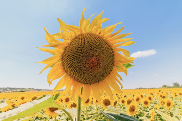 WX20230727-145438@2x.png