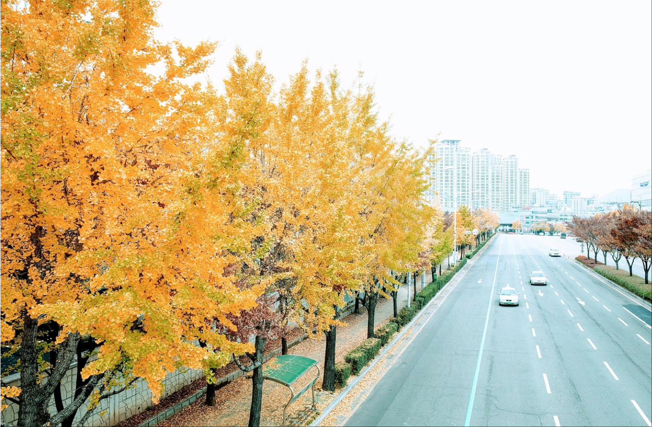 如何挽回女友：从分手到复合的实用指南